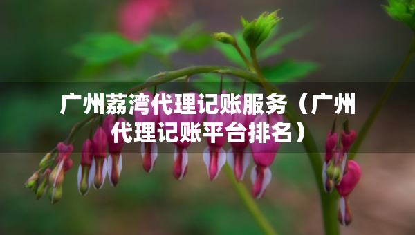 广州荔湾代理记账服务（广州代理记账平台排名）