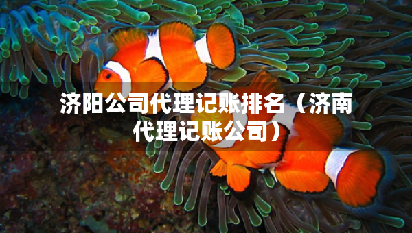 济阳公司代理记账排名（济南代理记账公司）