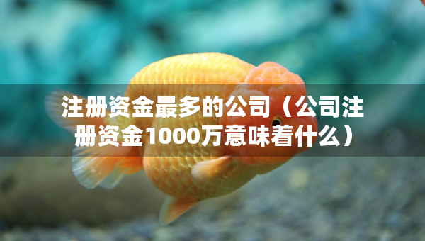 注册资金最多的公司（公司注册资金1000万意味着什么）