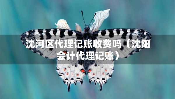 沈河区代理记账收费吗（沈阳会计代理记账）