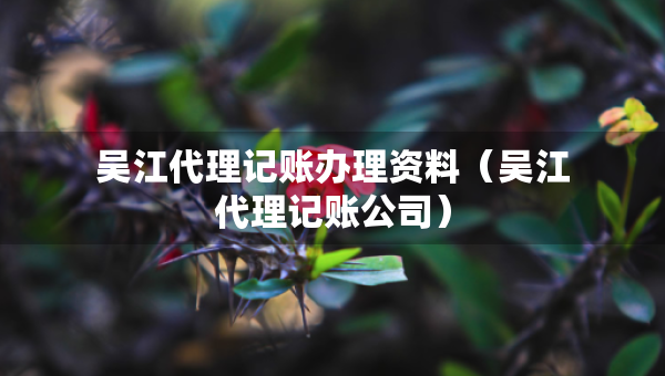 吴江代理记账办理资料（吴江代理记账公司）