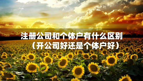 注册公司和个体户有什么区别（开公司好还是个体户好）