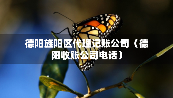 德阳旌阳区代理记账公司（德阳收账公司电话）