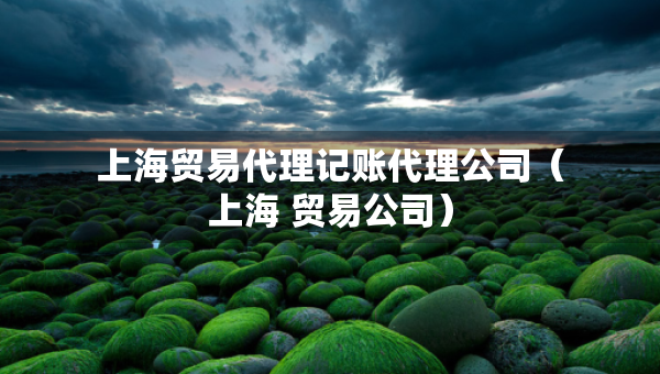 上海贸易代理记账代理公司（上海 贸易公司）