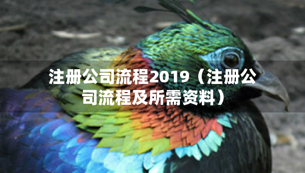 注册公司流程2019（注册公司流程及所需资料）