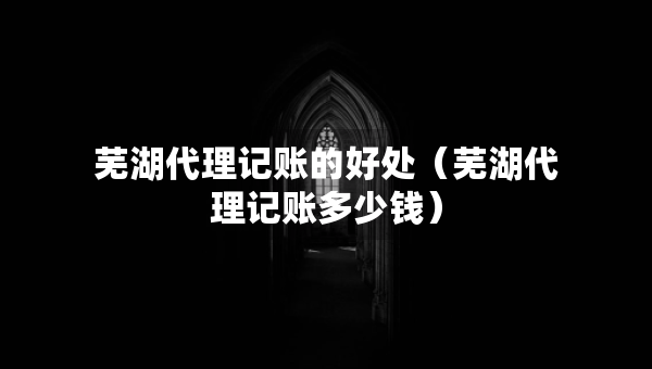 芜湖代理记账的好处（芜湖代理记账多少钱）