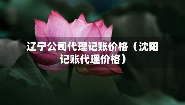 辽宁公司代理记账价格（沈阳记账代理价格）