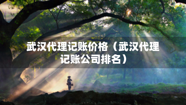 武汉代理记账价格（武汉代理记账公司排名）