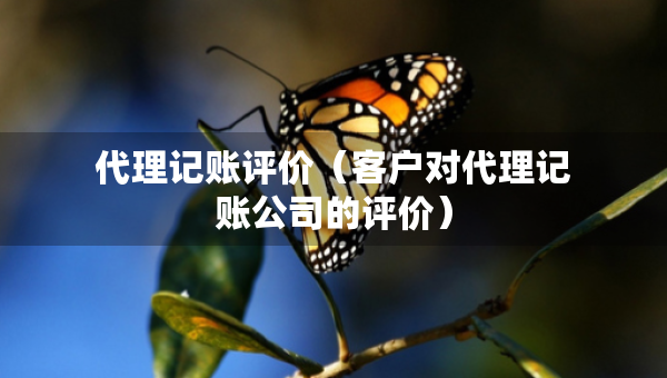 代理记账评价（客户对代理记账公司的评价）