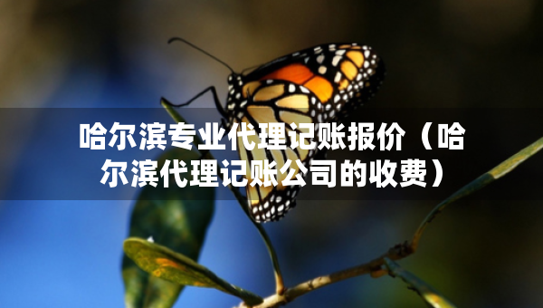 哈尔滨专业代理记账报价（哈尔滨代理记账公司的收费）