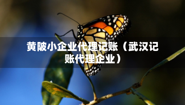 黄陂小企业代理记账（武汉记账代理企业）