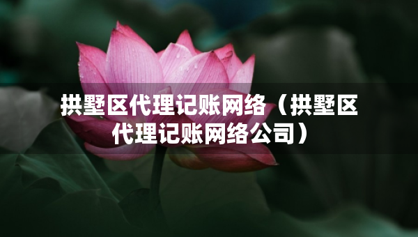 拱墅区代理记账网络（拱墅区代理记账网络公司）