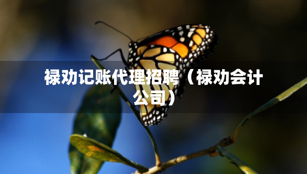 禄劝记账代理招聘（禄劝会计公司）