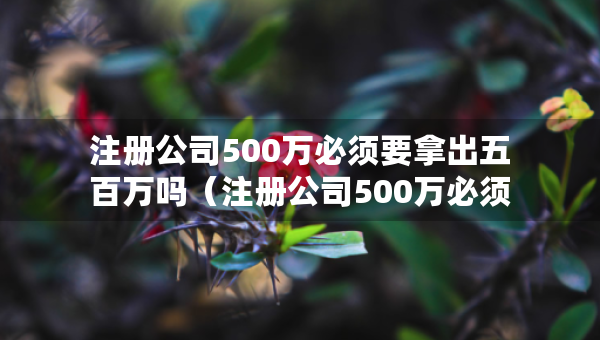 注册公司500万必须要拿出五百万吗（注册公司500万必须要拿出五百万吗知乎）