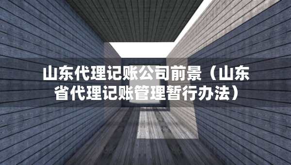 山东代理记账公司前景（山东省代理记账管理暂行办法）