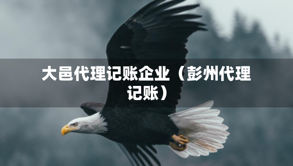 大邑代理记账企业（彭州代理记账）