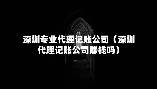 深圳专业代理记账公司（深圳代理记账公司赚钱吗）