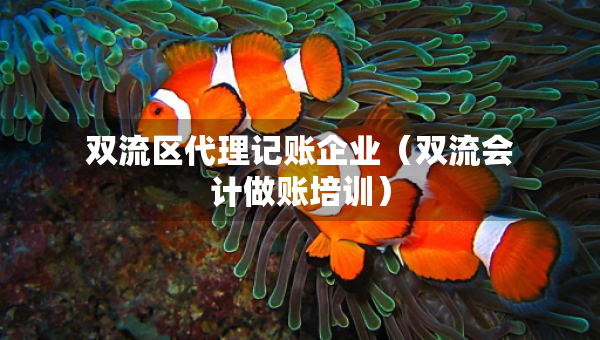 双流区代理记账企业（双流会计做账培训）