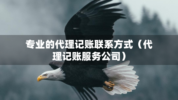 专业的代理记账联系方式（代理记账服务公司）