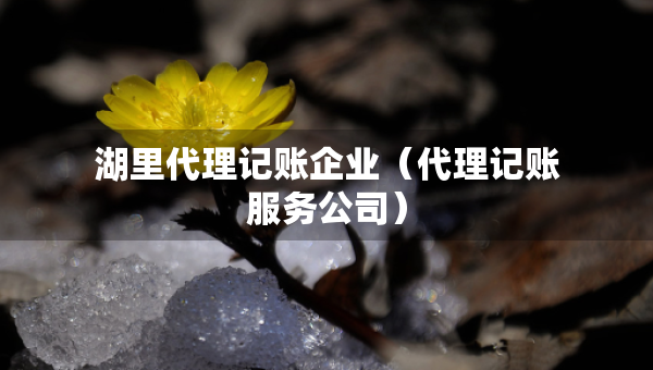 湖里代理记账企业（代理记账服务公司）