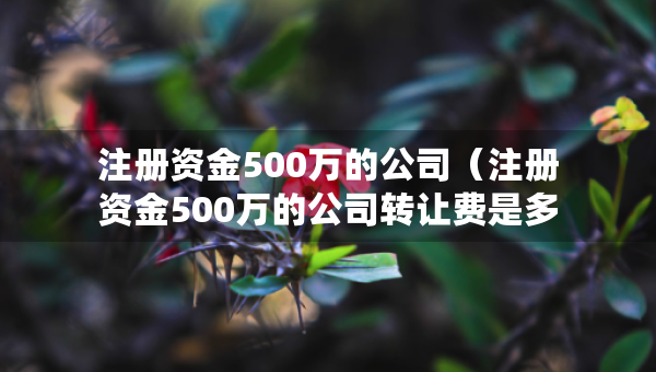 注册资金500万的公司（注册资金500万的公司转让费是多少）