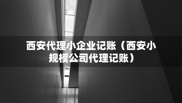 西安代理小企业记账（西安小规模公司代理记账）