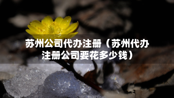 苏州公司代办注册（苏州代办注册公司要花多少钱）