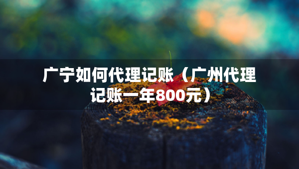 广宁如何代理记账（广州代理记账一年800元）