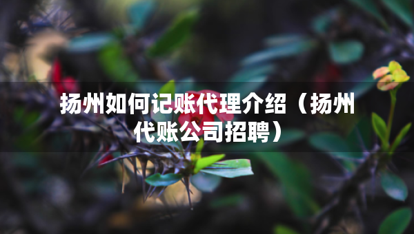 扬州如何记账代理介绍（扬州代账公司招聘）