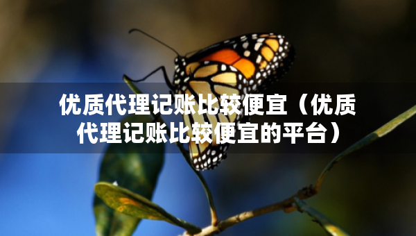 优质代理记账比较便宜（优质代理记账比较便宜的平台）