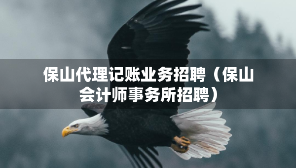 保山代理记账业务招聘（保山会计师事务所招聘）