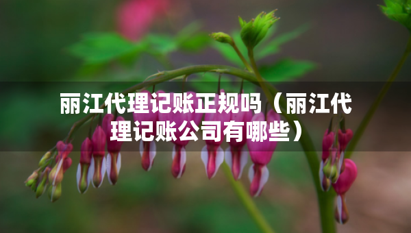 丽江代理记账正规吗（丽江代理记账公司有哪些）