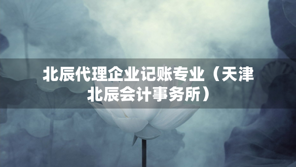 北辰代理企业记账专业（天津北辰会计事务所）