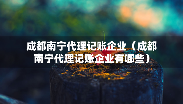 成都南宁代理记账企业（成都南宁代理记账企业有哪些）