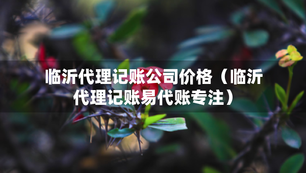 临沂代理记账公司价格（临沂代理记账易代账专注）