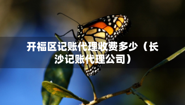 开福区记账代理收费多少（长沙记账代理公司）