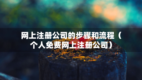 网上注册公司的步骤和流程（个人免费网上注册公司）