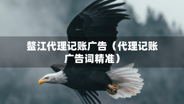 鳌江代理记账广告（代理记账广告词精准）