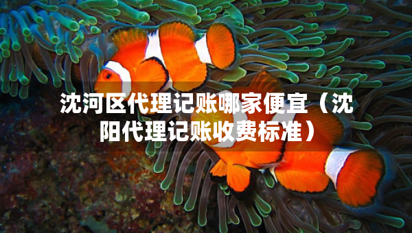 沈河区代理记账哪家便宜（沈阳代理记账收费标准）