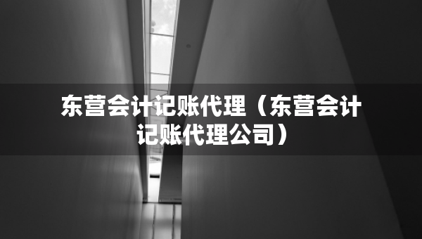 东营会计记账代理（东营会计记账代理公司）