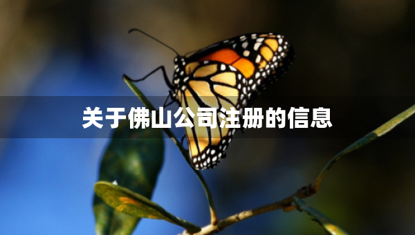 关于佛山公司注册的信息