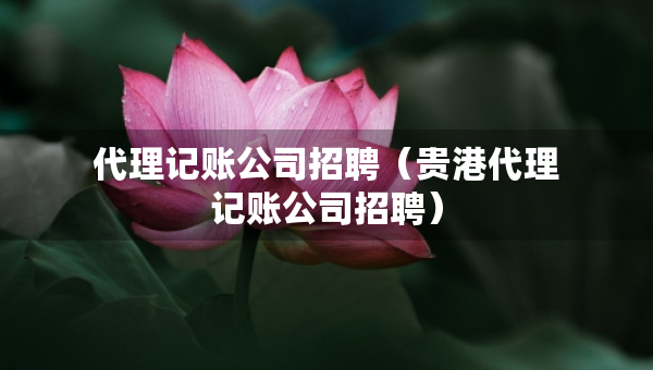 代理记账公司招聘（贵港代理记账公司招聘）