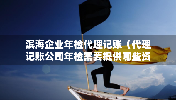 滨海企业年检代理记账（代理记账公司年检需要提供哪些资料）