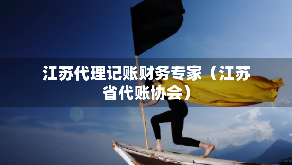 江苏代理记账财务专家（江苏省代账协会）