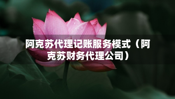 阿克苏代理记账服务模式（阿克苏财务代理公司）