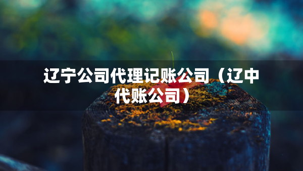 辽宁公司代理记账公司（辽中代账公司）