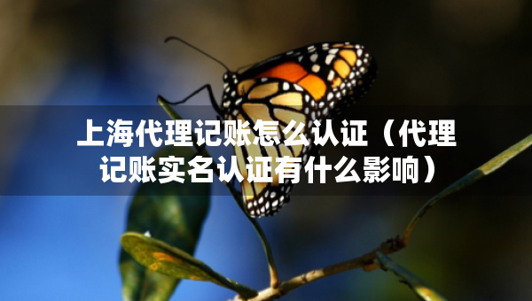 上海代理记账怎么认证（代理记账实名认证有什么影响）