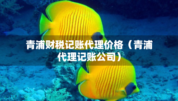 青浦财税记账代理价格（青浦代理记账公司）