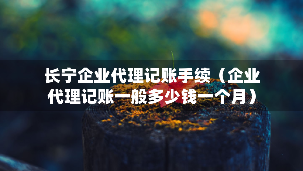 长宁企业代理记账手续（企业代理记账一般多少钱一个月）