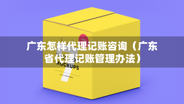 广东怎样代理记账咨询（广东省代理记账管理办法）